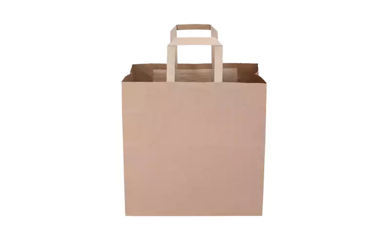 Shopping Paper Bag
